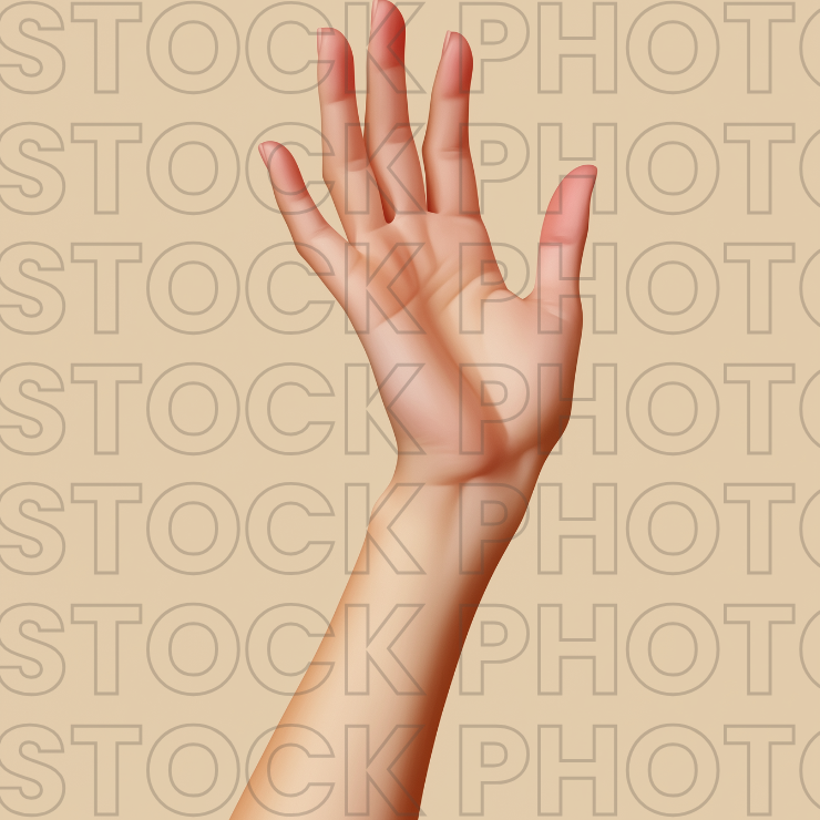 Preview_Example_44.png