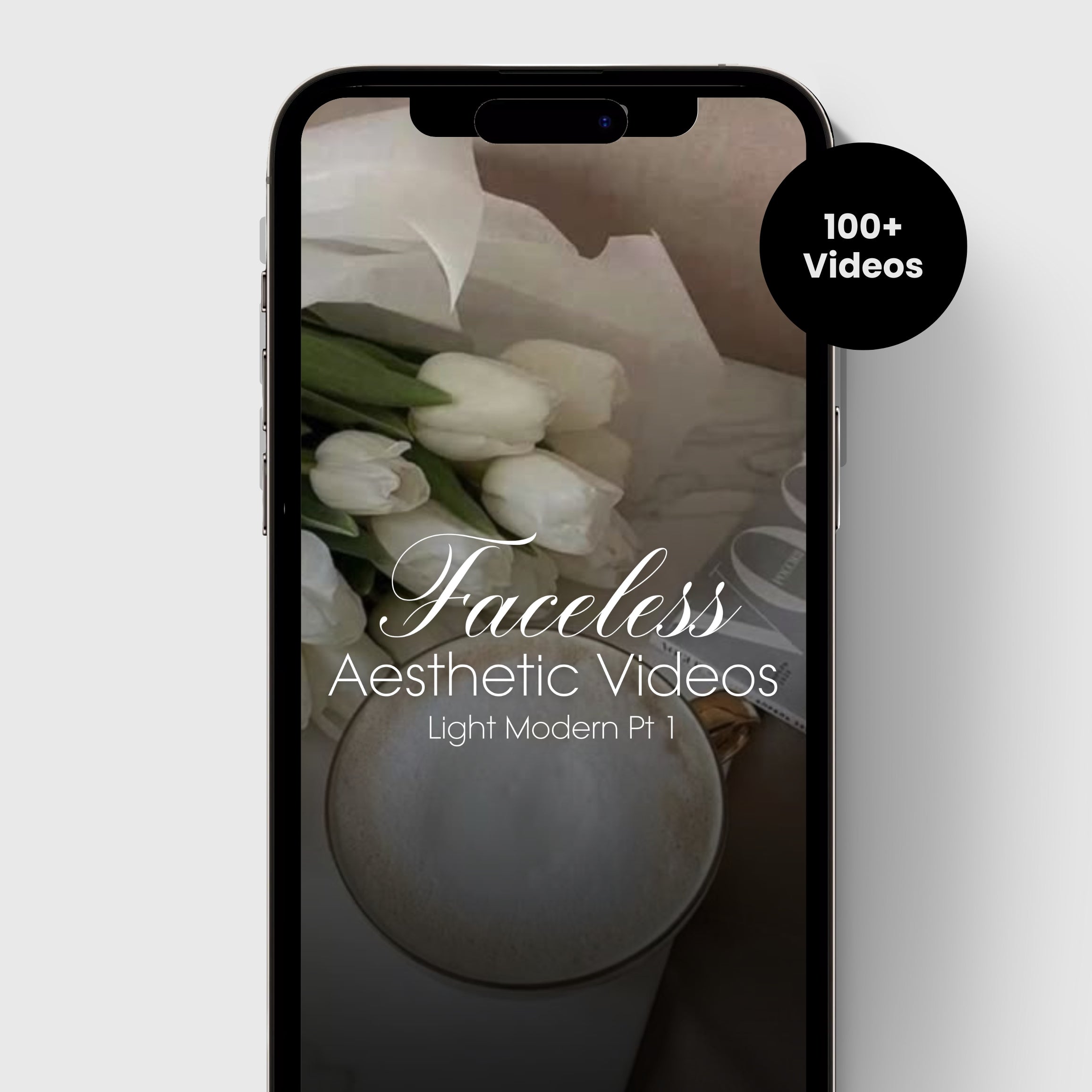 Digital_Product_Photo_Template.jpg